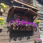 Ascot-zermatt Appartement Zermatt