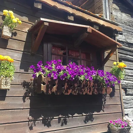Ascot-zermatt شقة زيرمات