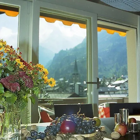 Ascot-zermatt *