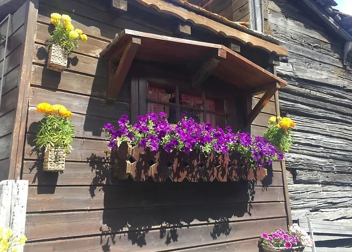 Ascot-zermatt Daire Zermatt