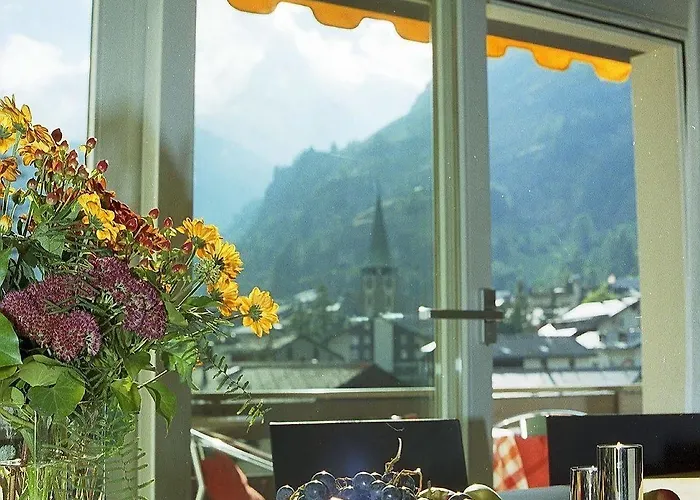 Ascot-zermatt *