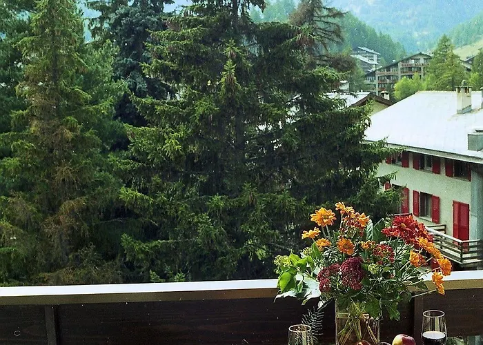 Ascot-zermatt *