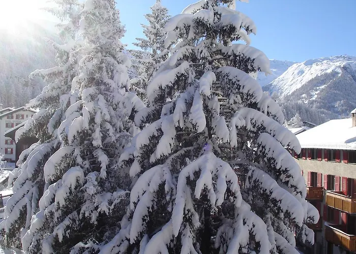 Ascot-zermatt
